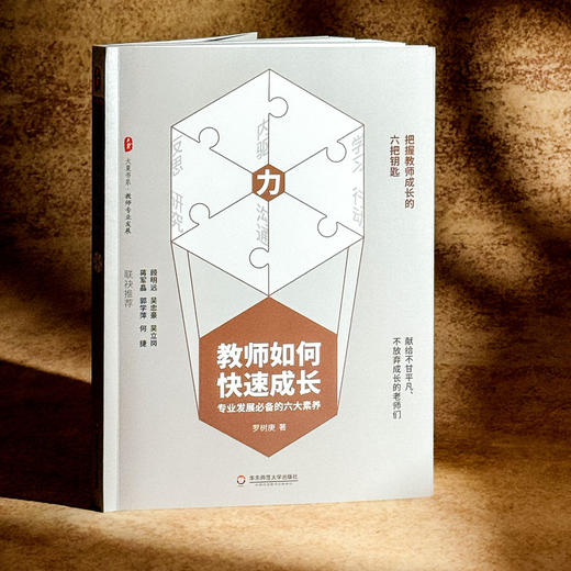 教师如何快速成长 专业发展六大素养 大夏书系 教师专业发展丛书 商品图4