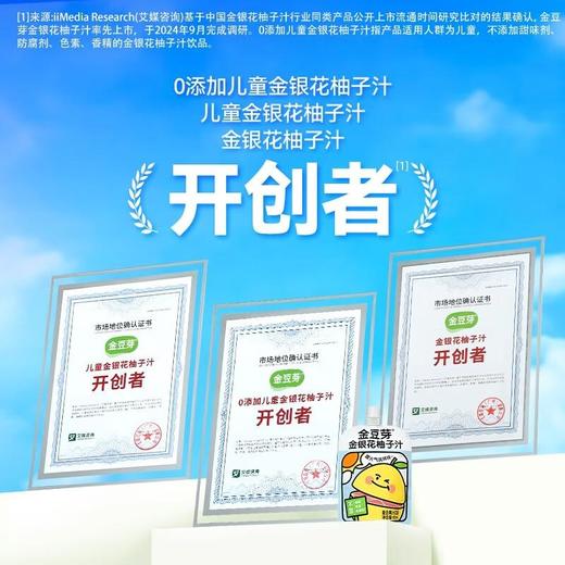 金豆芽金银花柚子汁礼盒 100ml*13袋 商品图3