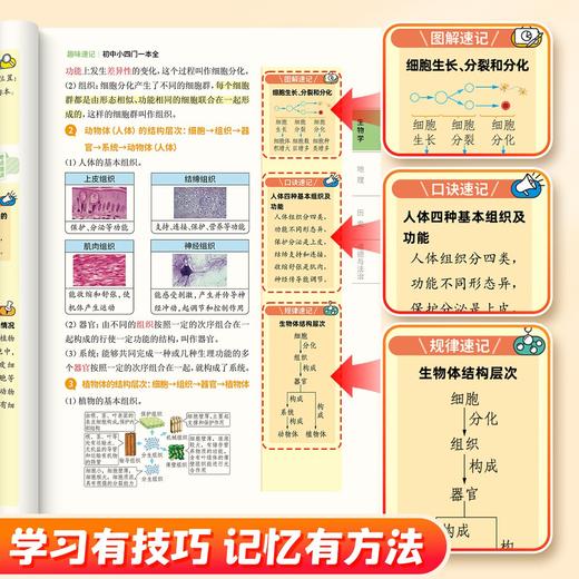 趣味速记【初中小四门（生物地理历史道法）一本全】【初中数理化一本全】考点及公式定律突破中考基础知识速记 商品图2