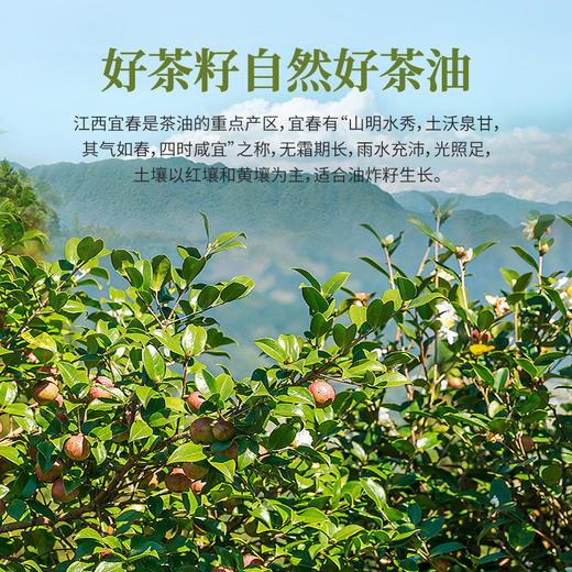 山茶油礼包 商品图3