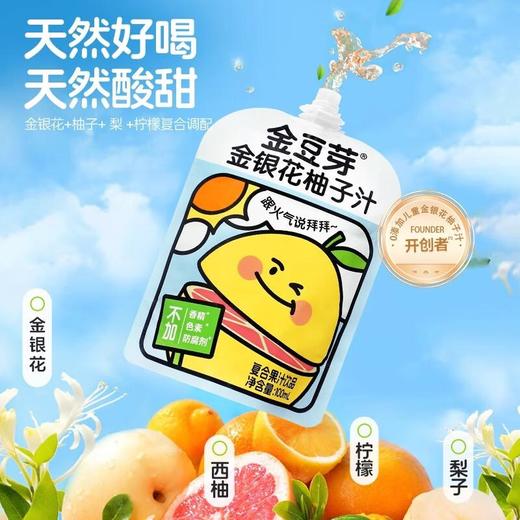 金豆芽金银花柚子汁礼盒 100ml*13袋 商品图2