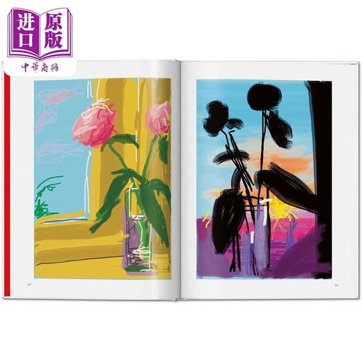【中商原版】David Hockney My Window 进口艺术 大卫霍克尼 我的窗户 Taschen 商品图3