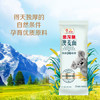 金龙鱼100%澳麦椭圆挂面面条 800g 汤面拌面蘸面早餐面炸酱面 商品缩略图6