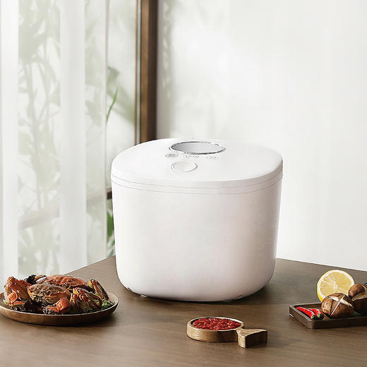 山水（SANSUI）4L智能电饭煲SF-143 商品图0
