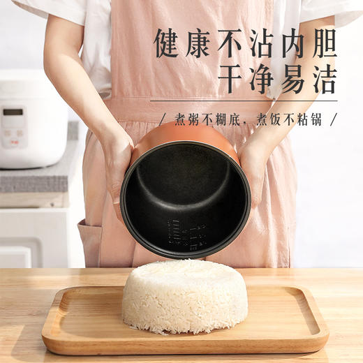 山水（SANSUI）2L智能迷你饭煲SF-133 商品图3