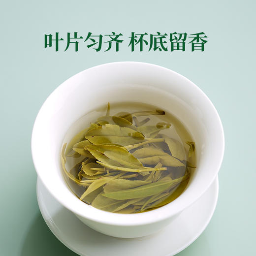 【会员抢】华祥庄园-明前特级龙井茶绿茶口粮装50g 商品图10