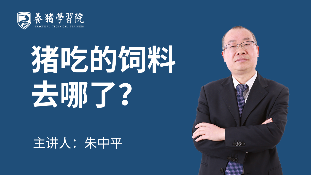 【新品】PTT养猪学习院猪吃的饲料去哪专栏学习卡