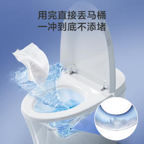 京东京造极地花湿厕纸80片厕纸湿巾大包家庭装 清洁湿纸巾湿巾	 /家庭清洁/纸品 /清洁纸品 /湿厕纸