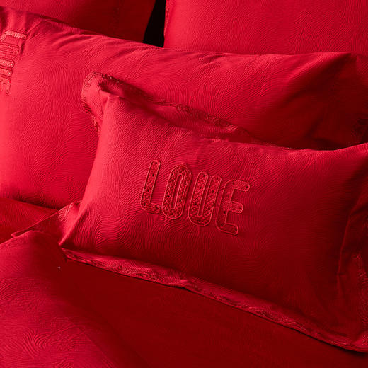 多喜爱 80S全棉厚织提花八件套 欢囍 国风婚嫁 中式美学【拉杆行李箱包装】 【80S高密贡缎】【精美刺绣】 织物柔软 手感细腻 色泽亮丽 商品图4