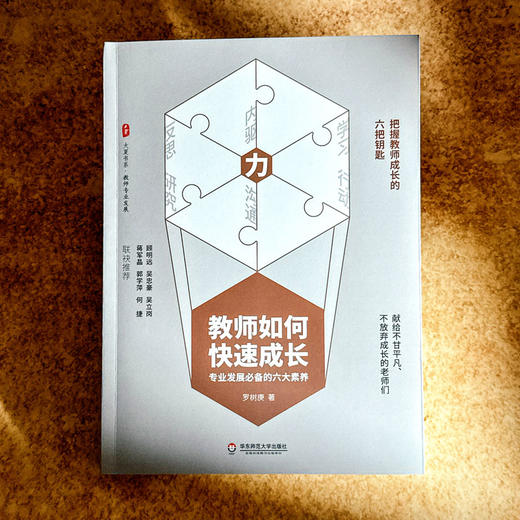教师如何快速成长 专业发展六大素养 大夏书系 教师专业发展丛书 商品图2