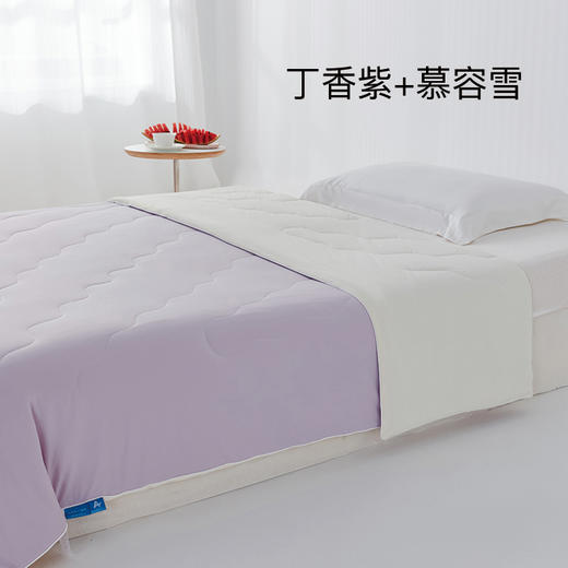 【多样屋专柜】Calvert Kris清凉一夏AB版夏被150*200（5色可选）粉蓝紫灰绿 商品图3