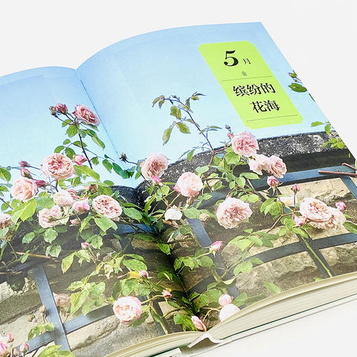 《花园生活美学》  蔡丸子 著 商品图4