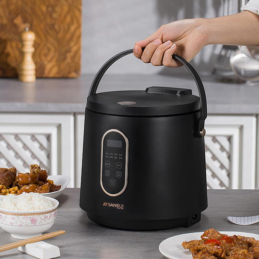 山水（SANSUI）2L迷你智能电饭煲SF-F20C 商品图0