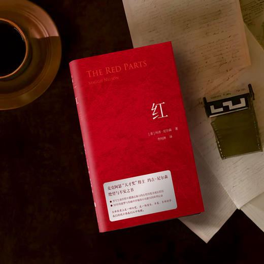 红 | 麦克阿瑟天才奖得主玛吉・尼尔森绝望与不安之书 商品图6