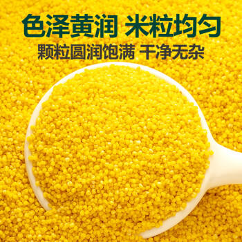 北纯 赤峰大金苗 黄小米5斤/袋（含有多种矿物质小米粥杂粮米） /粮油调味 /杂粮 /谷米类 商品图3