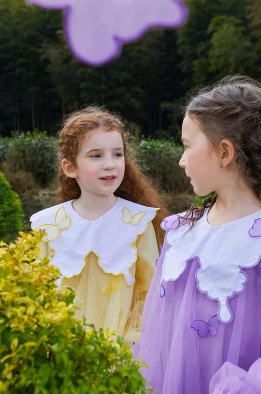 考拉月亮【特价不退】koalamoon童装儿童女童网纱连衣裙蝴蝶型衣领 公主裙C11Q2351T 商品图5