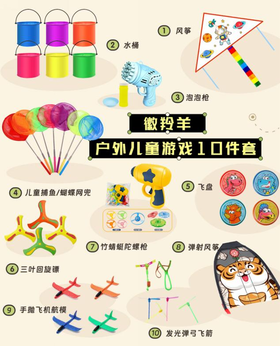 徽羚羊 户外儿童游戏10件 套装