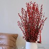 新鲜鲜花 红银柳鲜切花1扎（10枝）可备注送货时间 商品缩略图1