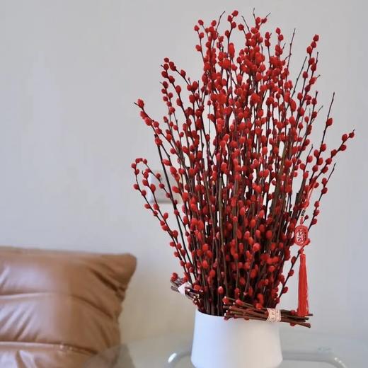 新鲜鲜花 红银柳鲜切花1扎（10枝）可备注送货时间 商品图1