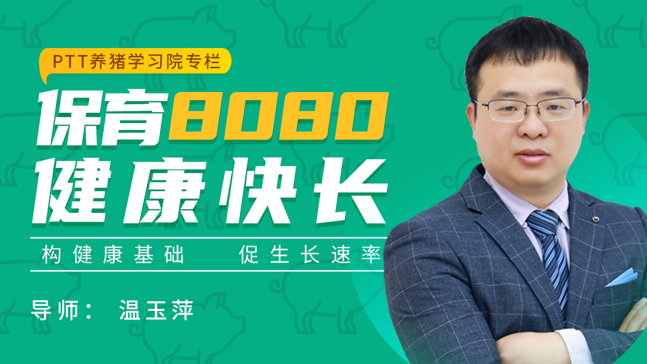 【新品】PTT养猪学习院保育8080健康快长专栏学习卡