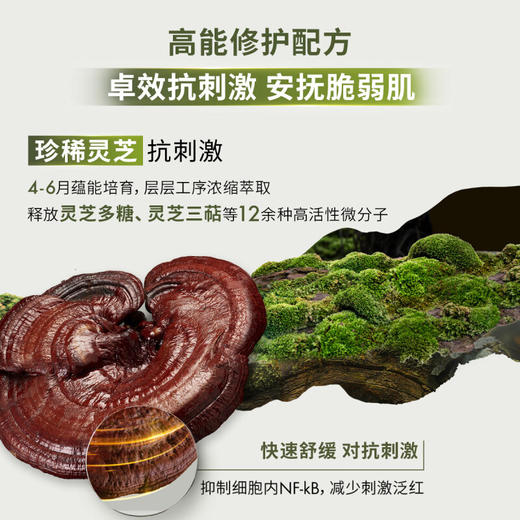 悦木之源ORIGINS 韦博士灵芝焕能好底子精华水200ml（菌菇水） 商品图2