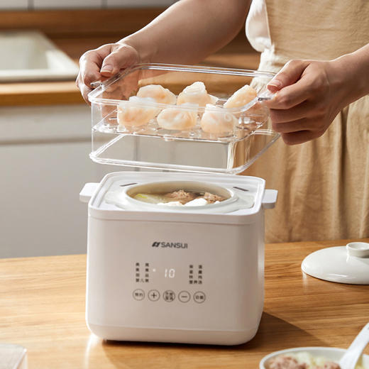 山水（SANSUI）1L多功能电炖盅SDZ-17S 商品图3