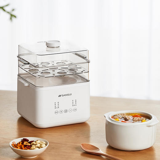 山水（SANSUI）1L多功能电炖盅SDZ-17S 商品图0