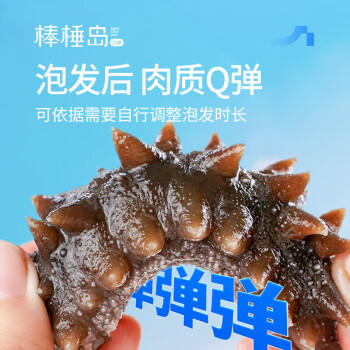 棒棰岛大连干海参250g木质礼盒 70-80只 低盐辽刺参≤18% 辽参地标认证 /粮油调味 /南北干货 /干海参 商品图4