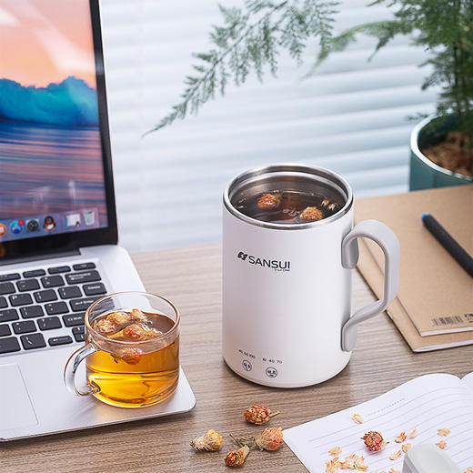 山水（SANSUI）多功能电热养生杯SDR-036B2 商品图1