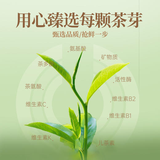 华祥苑-50g星时光寿眉屋檐铁罐装 商品图6