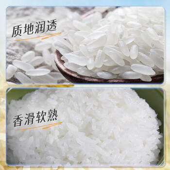 KO-KO(口口牌) 中国香油粘米 大米20斤 油粘米 长粒米 koko香油粘 /粮油调味 /米 /油粘米 商品图5