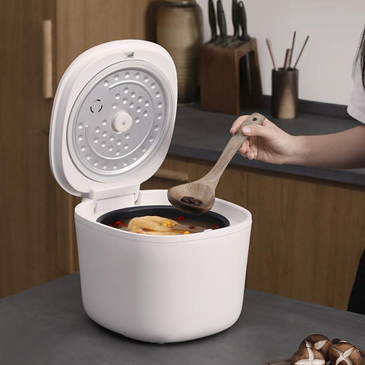 山水（SANSUI）4L智能电饭煲SF-143 商品图2