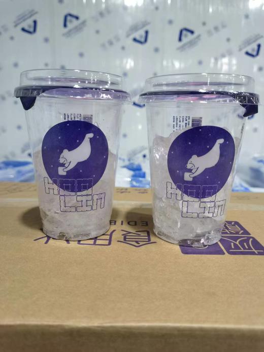 沁宏昌 灰熊冰杯（带直饮盖）  160g/杯  刨冰四果汤专用 冰块 烧烤啤酒 商品图0