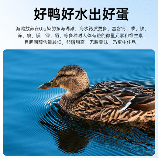 丁山河 初生海鸭蛋45克×20枚 商品图3