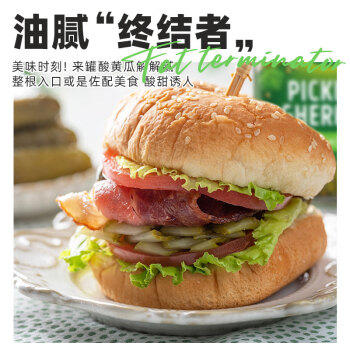 冠利酸甜青瓜670g 德国原装进口酸黄瓜 面包三明治西餐配菜腌黄瓜即食 /粮油调味 /调味品 /榨菜/酱腌菜 商品图6