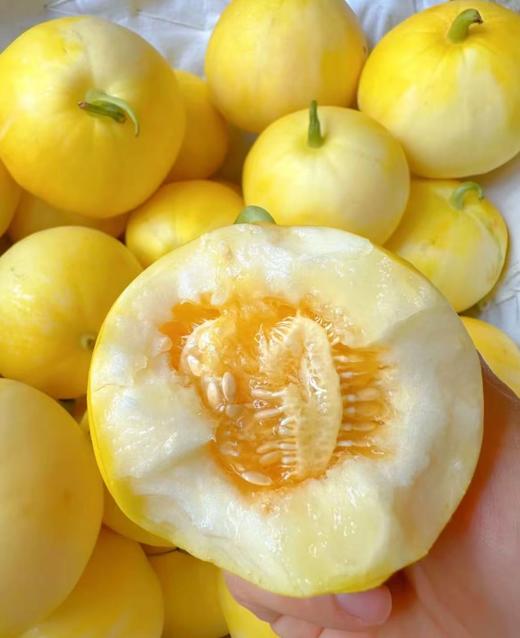 冰糖蜜罐香瓜 商品图0