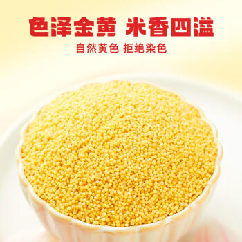 柴火大院 内蒙古黄小米 4斤 五谷杂粮 低脂杂粮 早餐 小米黄小米 粥 商品图5