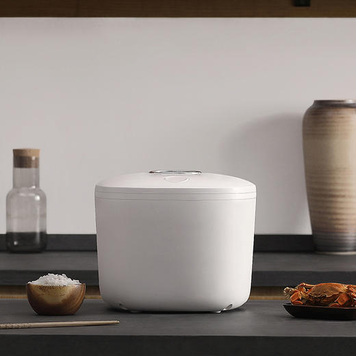 山水（SANSUI）4L智能电饭煲SF-143 商品图1