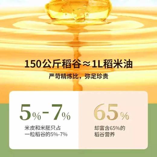 金龙鱼谷维多双一万稻米油4L 商品图4