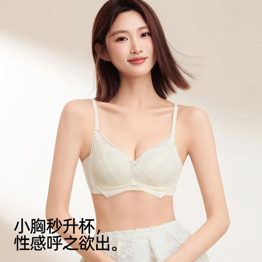 熳洁儿 法式三角杯内衣小胸聚拢性感蕾丝网纱后背透气25261503 商品图4