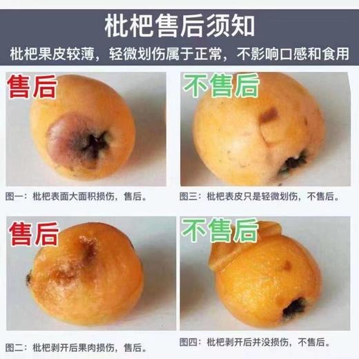 『石棉五星枇杷』肥美柔滑，甜润多汁，细嫩化渣，皮薄肉厚 商品图7
