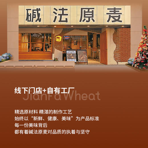 （碱法厚切吐司）碱法原麦新品全麦牛乳蓝莓黑巧碱水吐司面包代早餐 商品图5