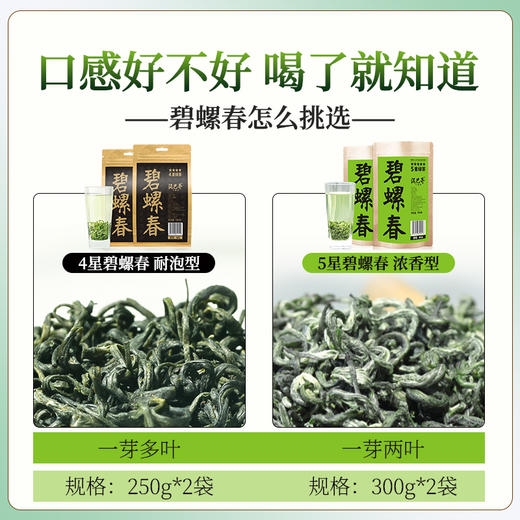 泥巴哥4星碧螺春耐泡绿茶2025新茶500克1斤装 商品图3