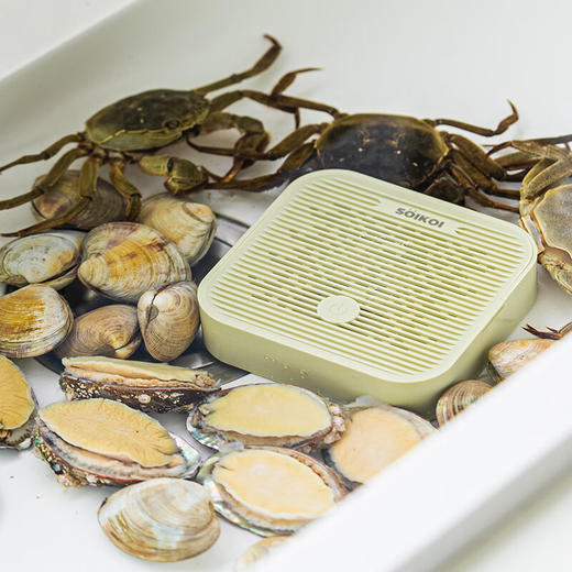 【多样屋专柜】SoiKoiSOIKOI司崎库果蔬净化清洗器 商品图1