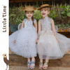 littletime女童连衣裙2025夏新款儿童洋气天使亮片网纱裙生日礼服 商品缩略图0