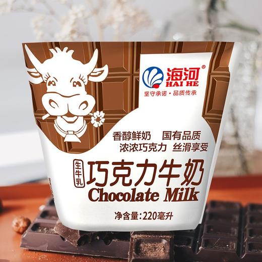 海河220ml巧克力牛奶 商品图0