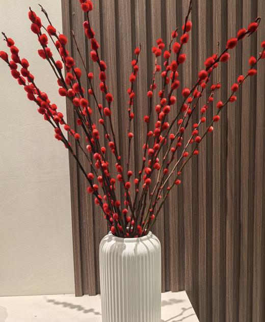 新鲜鲜花 红银柳鲜切花1扎（10枝）可备注送货时间 商品图0