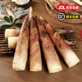 浙江临安春笋，新鲜、自然生长，脆嫩爽口，清香甘甜