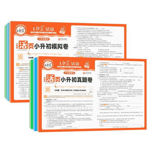2025王朝霞活页小升初真题卷/模拟卷语文数学英语（全国通用适用备战小升初） 商品图5