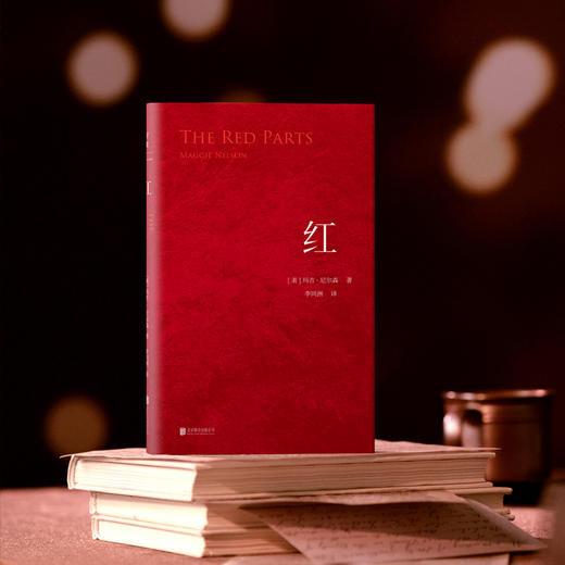 红 | 麦克阿瑟天才奖得主玛吉・尼尔森绝望与不安之书 商品图4